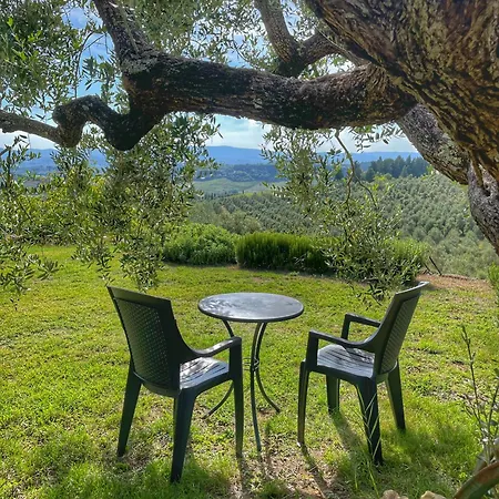The Olive House Barberino di Val dʼElsa