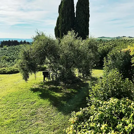 Daire The Olive House *