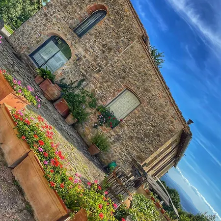 The Olive House Barberino di Val dʼElsa